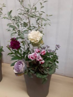 プロから学ぶガーデン講座