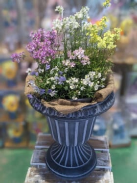 プロから学ぶガーデン講座