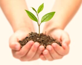 プロから学ぶガーデン講座